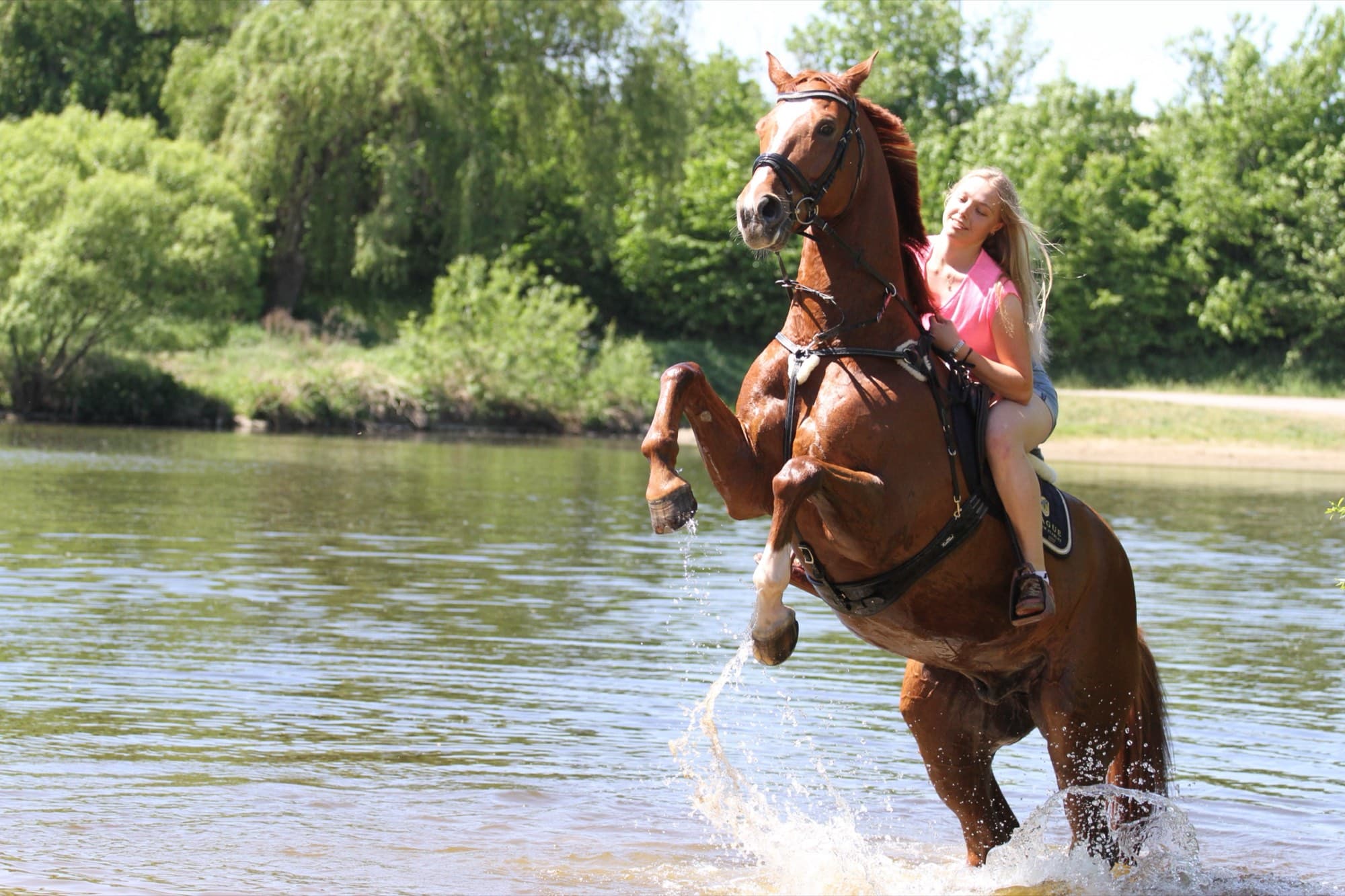 Terka on a rearing horse in the water